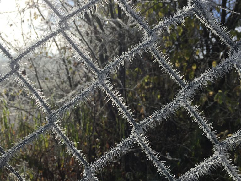 chain link fence detail with Hoare frost